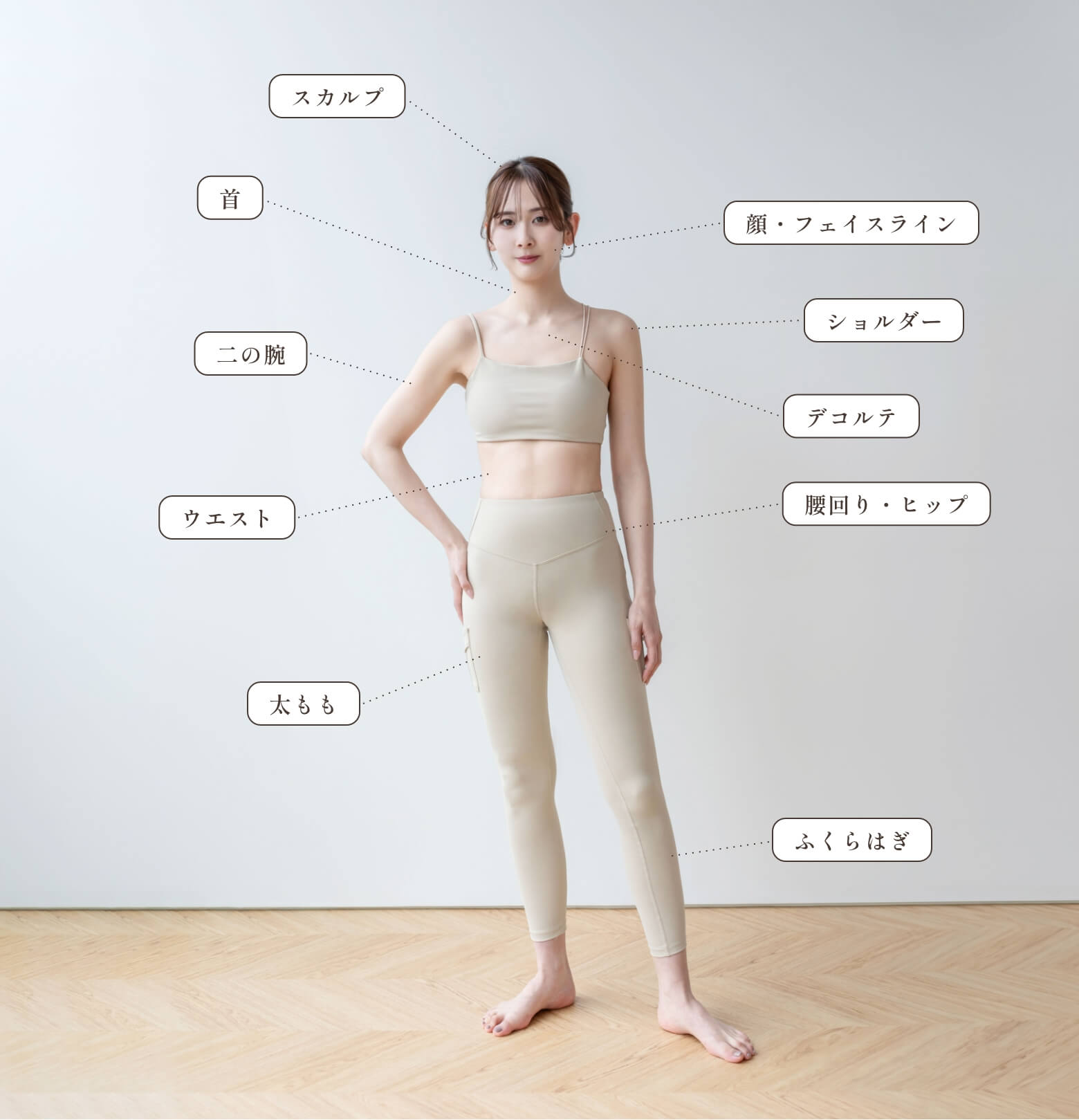 対応部位参考画像