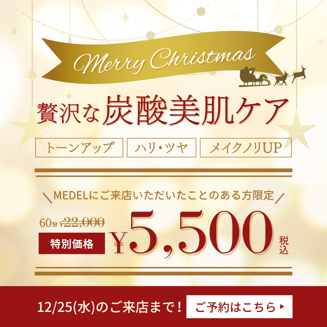 MEDELからのクリスマスプレゼント